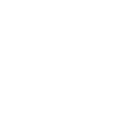 vechro logo