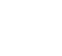 vivechrom logo